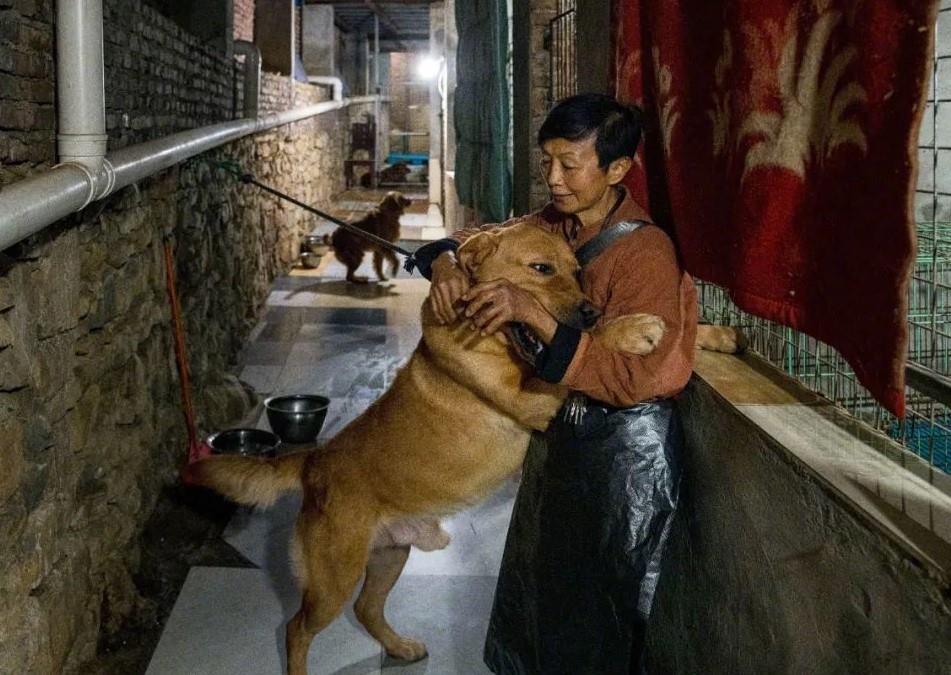 Https Www Ra2ej Com D9 85 D9 84 D9 88 D9 83 D9 88 D9 85 D8 B4 D8 A7 D9 87 D9 8a D8 B1 D9 8a D8 Ad D8 B5 D9 84 D9 88 D9 86 D8 B9 D9 84 D9 89 D9 84 D9 82 D8 A7 D8