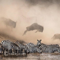 Image result for Photography