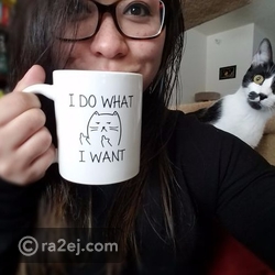 يبدو أن القطط تعشق التصوير