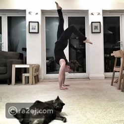 هذه القطة أفسدت صورة مالكتها تماماً وخطفت منها الأضواء