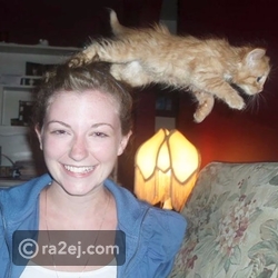 قطة تسرق الأضواء تماماً من صاحبتها بهذه الحركة المثيرة للدهشة