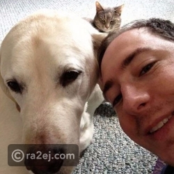 قطة تفسد صورة الشاب مع كلبه بملامحها الغاضبة