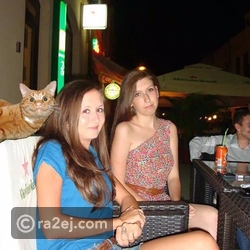 تمكنت هذه القطة من سرقة الأضواء من الفتاتين بدون شك