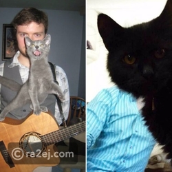 قطط مزعجة تظهر بشكل غير متوقع في الصور