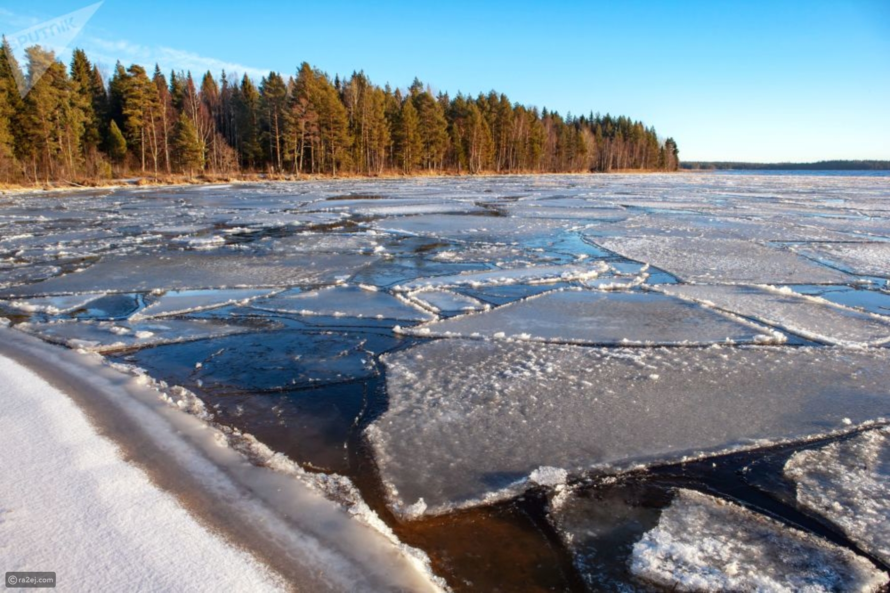 Таяние льда на водоемах. Онежское озеро Кондопога. Лед на реке. Льдины на реке.