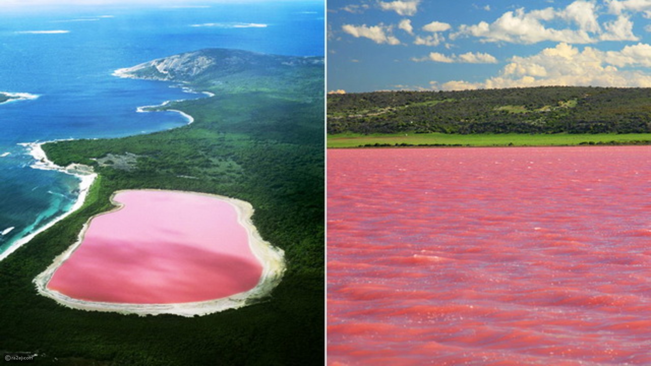 بحيرة هيلير أو البحيرة الوردية في غرب أستراليا 40467a02c37e13e49a0d85ca6aa69d3061444805-041016125312.jpg?preset=v3