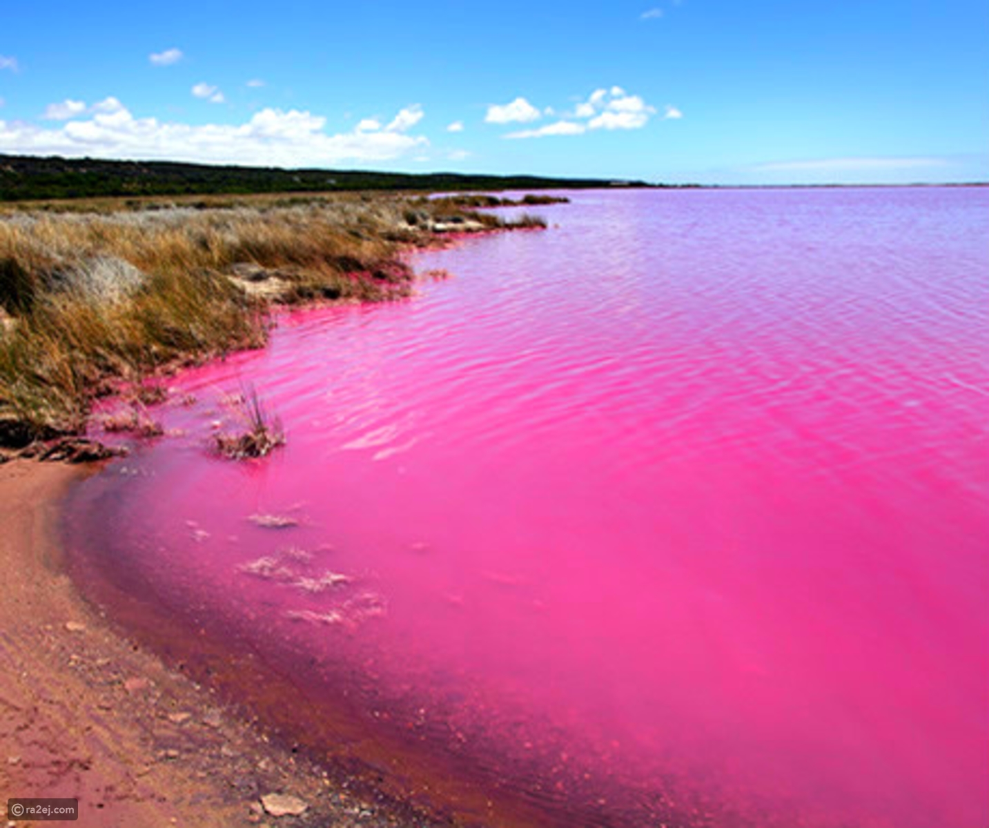 بحيرة هيلير أو البحيرة الوردية في غرب أستراليا 7da00166a7aa48dc79494ef049dca69a1521bff1-041016125312.jpg?preset=v3
