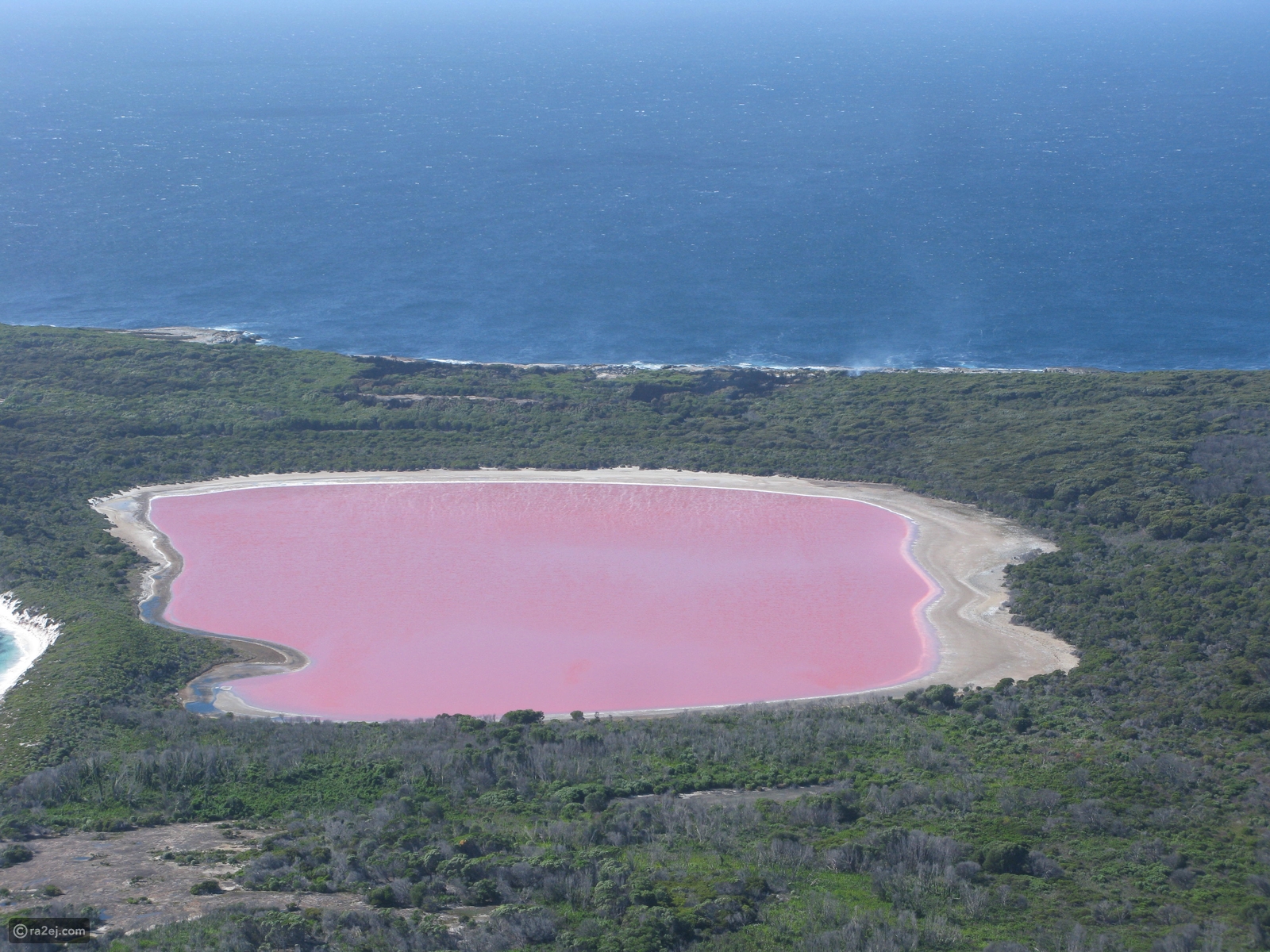 بحيرة هيلير أو البحيرة الوردية في غرب أستراليا 92d61bcd6433772285afcd50ecdcfc7069d107d2-041016125312.JPG?preset=v3