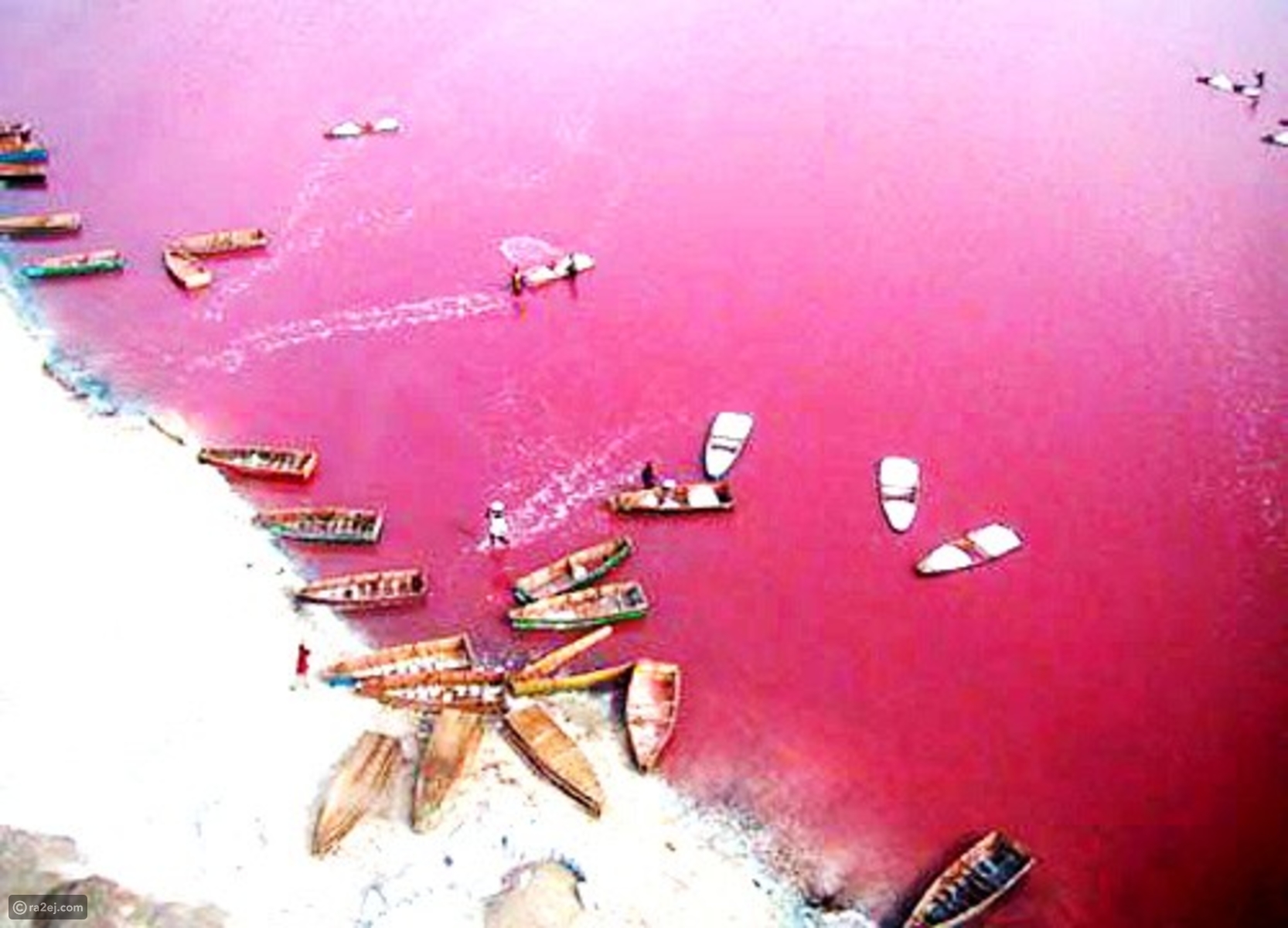 بحيرة هيلير أو البحيرة الوردية في غرب أستراليا 939414f0d4c7a07a0e1f28e8e0dccbfef98d4031-041016125312.jpg?preset=v3