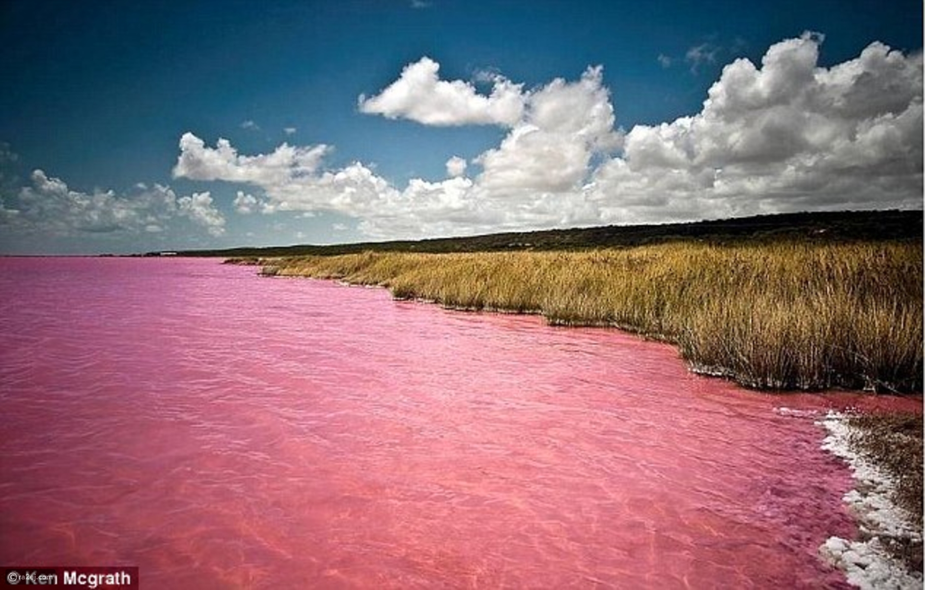 بحيرة هيلير أو البحيرة الوردية في غرب أستراليا 9695ab24a6ac117c51b0634d3b9076ceed5963ed-041016125311.jpg?preset=v3