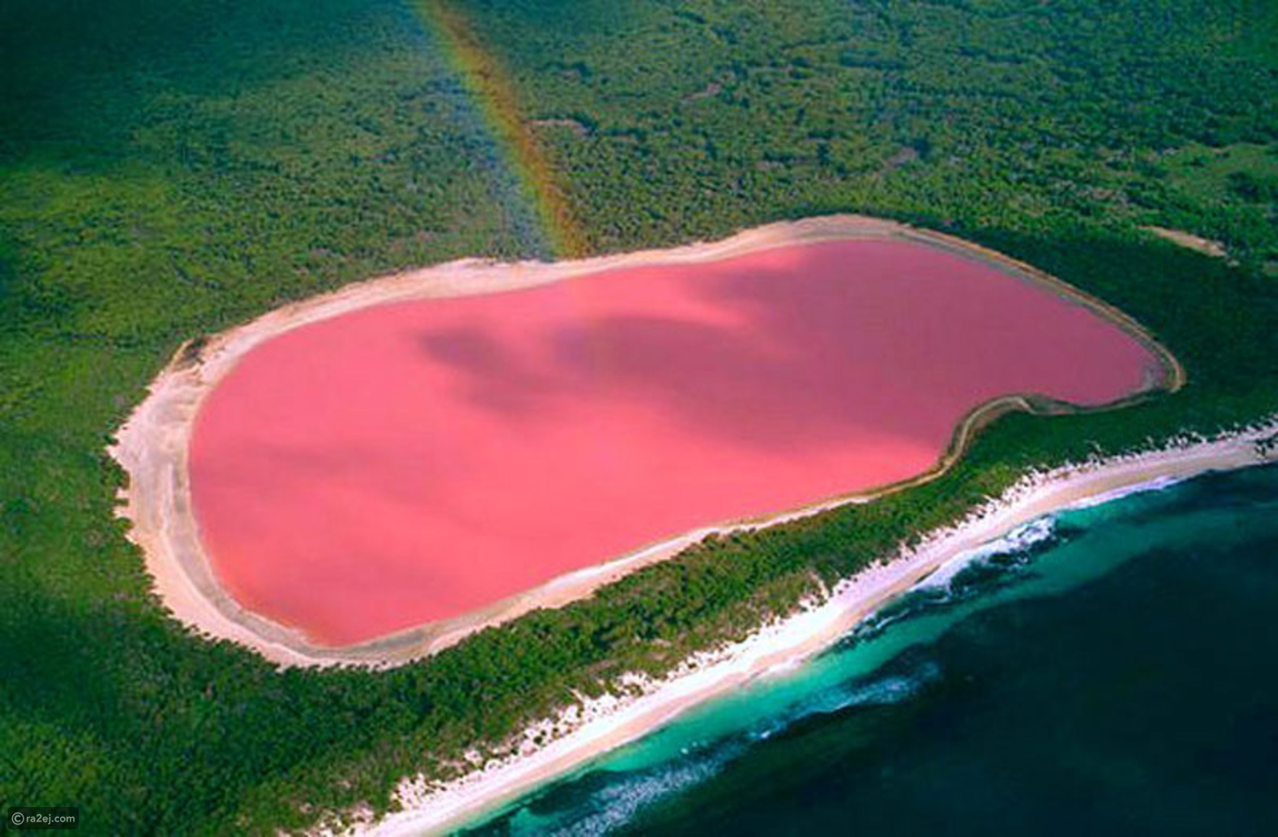 بحيرة هيلير أو البحيرة الوردية في غرب أستراليا Bc4916edb66c4d91447b7c1a74869fb1fe5248fa-041016125311.jpg?preset=v3