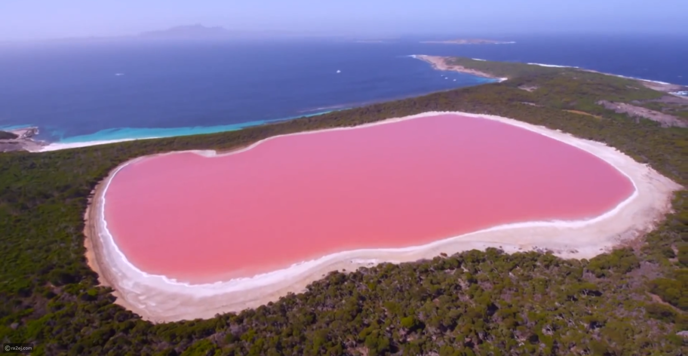 بحيرة هيلير أو البحيرة الوردية في غرب أستراليا C0876a1f1914d384cc2270dadc0a04c6309246b0-041016125312.png?preset=v3