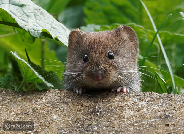 ���� ���� ������ �� ���� ������