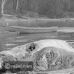 ���� ���� ������ �� ���� ������