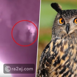 ÙØ§Ø¦Ù Ø£Ø³Ø·ÙØ±Ù