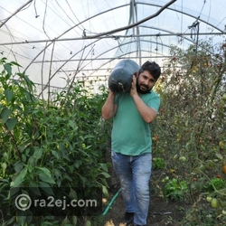 ثمرة خيار عملاقة