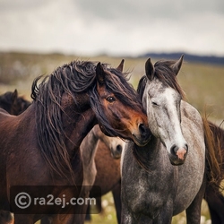 ������ ���� ������ �� ���� ������