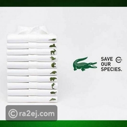 download All in the mind : psychology for